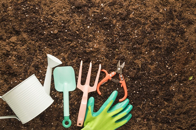 Не навреди: доцент КФУ назвал главные ошибки дачников при подготовке почвы