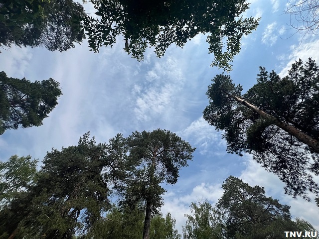 На Волжской тропе открылся новый экомаршрут с тактильными инсталляциями