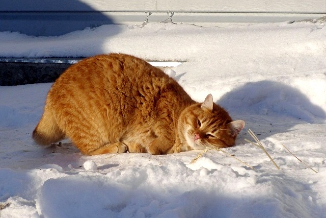 Туман и мороз до -22 градусов ожидаются в Татарстане в начале рабочей недели