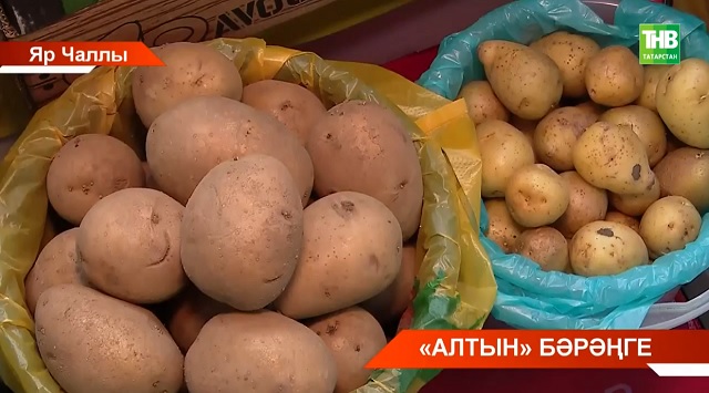 Бер ел эчендә Татарстанда бәрәңге бәясе 106%ка арткан