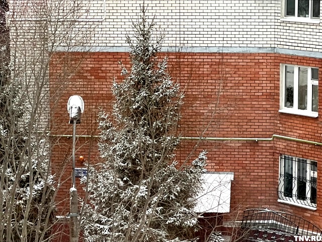 Синоптик Шувалов: зима в Татарстан пришла ненадолго