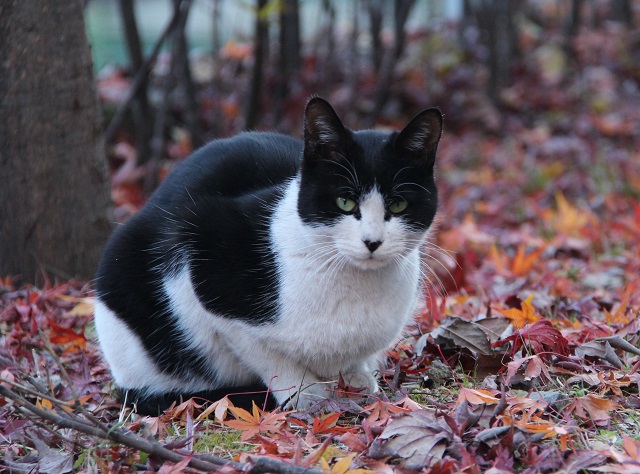 Заморозки близко: до +2 градусов похолодает в Татарстане в конце рабочей недели