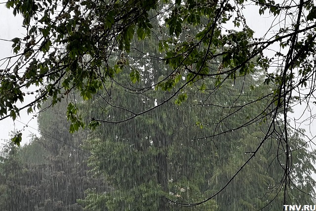 Метеоролог Аухадеев: май в Татарстане может стать рекордно богатым на осадки