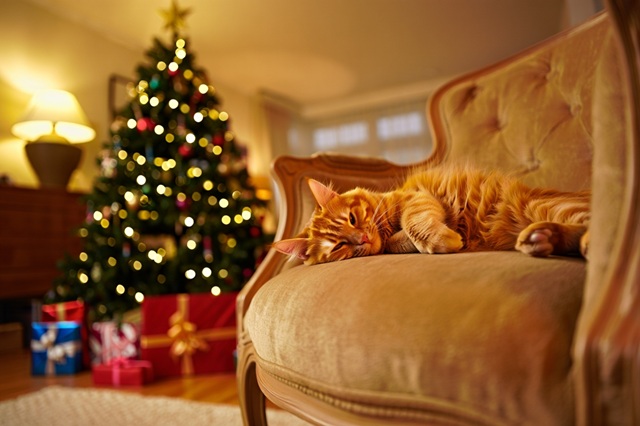 Морозы под -20 градусов ударят в Татарстане на Рождество