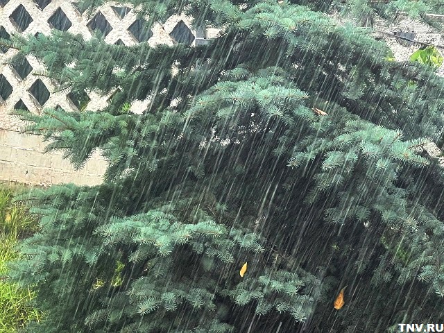 Зонты пригодятся: жара и грозы ожидаются в Татарстане