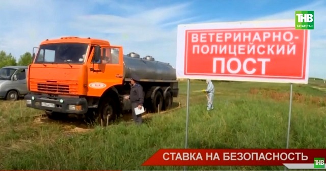 Минниханов потребовал усилить меры профилактики опасных заболеваний животных