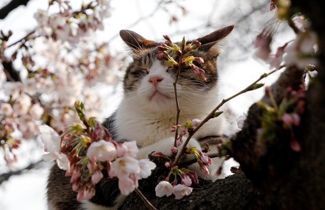 Порывистый ветер и 26-градусное тепло ожидаются в Татарстане 18 мая