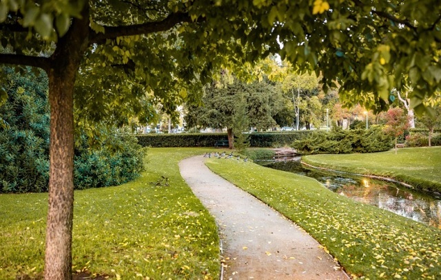 Сквер имени Ильгама Шакирова появится в Вахитовском районе Казани