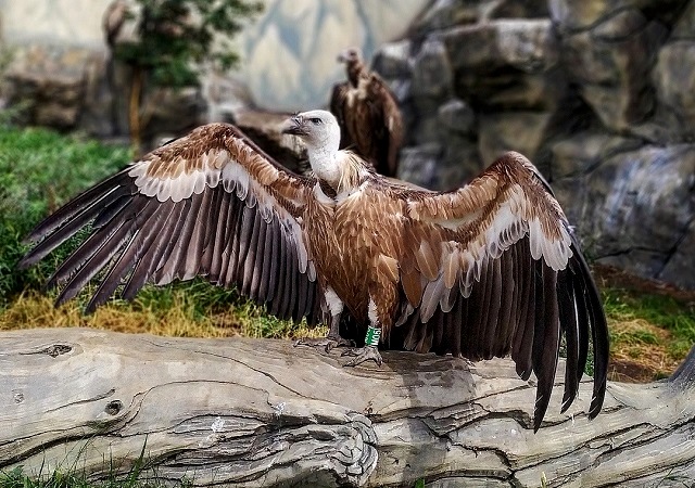 На зимний режим работы переходит зооботсад в Казани