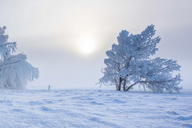 -37 градусов в Татарстане: синоптики зафиксировали рекордные морозы