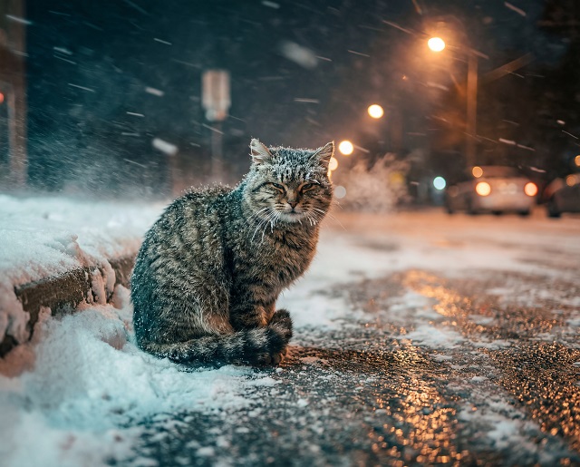 Иртәгә Татарстанда кабат аномаль кар яву көтелә