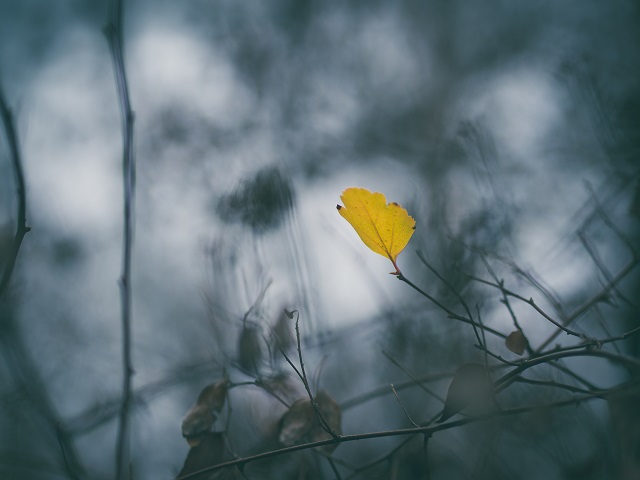 Интенсивное метеоявление накроет Татарстан в ближайшие сутки