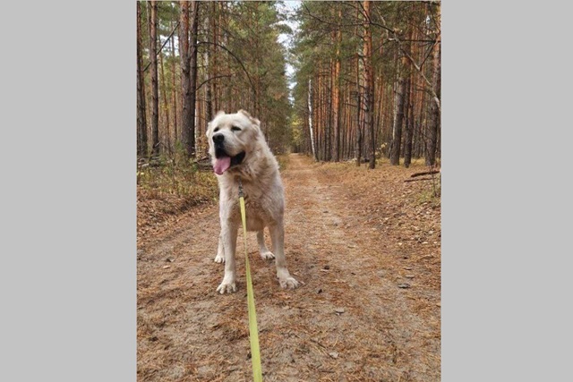 Минниханов: наконец-то отдыхаем с Акдусом