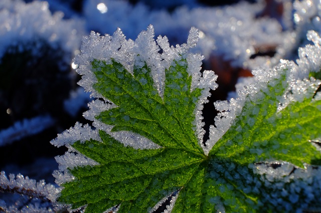 Снег и заморозки до -7 градусов накроют ряд регионов РФ