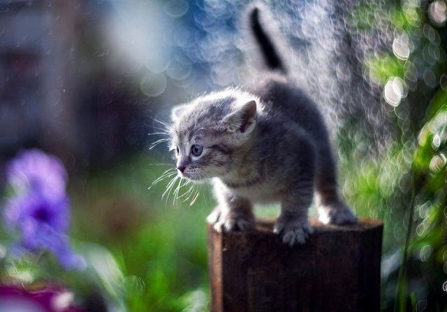 Ливни и шквалистый ветер: на Татарстан надвигается непогода