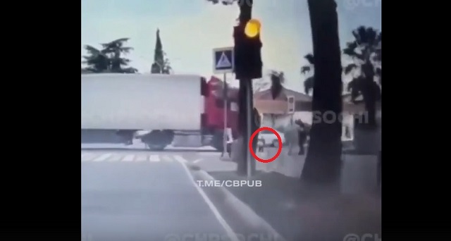 В Сочи многотонная фура насмерть сбила трехлетнего ребенка – видео