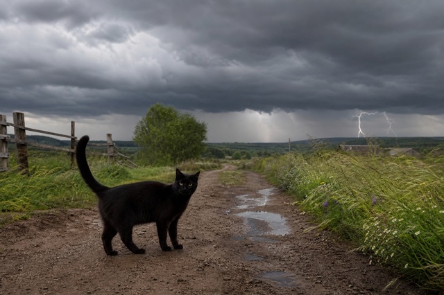 27 июньдә Татарстанда яңгырлы һәм салкынча һава көтелә