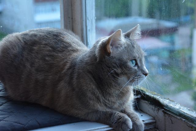 18 мая в Татарстане ожидаются дожди и небольшое похолодание