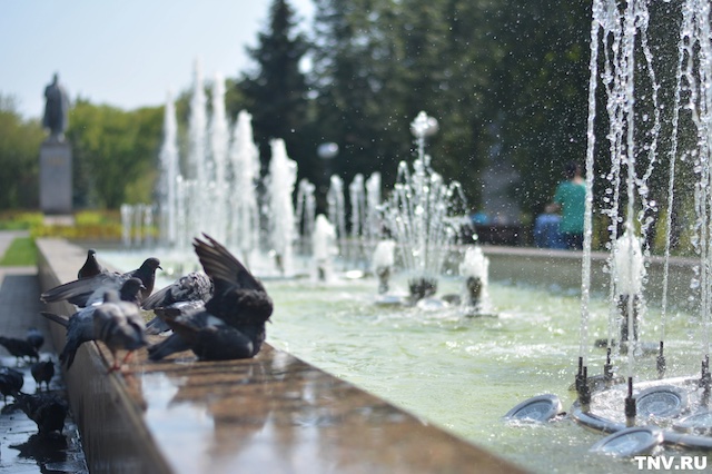 Синоптик Шувалов: волны жары и прохлады накроют Татарстан в июне