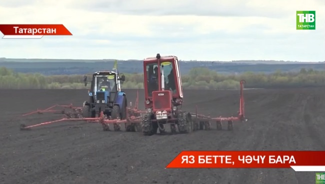 Татарстанда язгы кыр эшләре бу атнада тәмамланачак