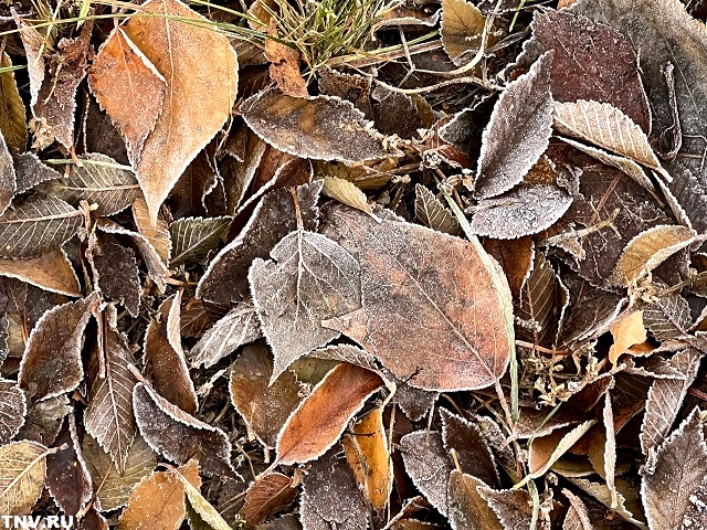 Штормовое предупреждение о заморозках объявлено в Татарстане