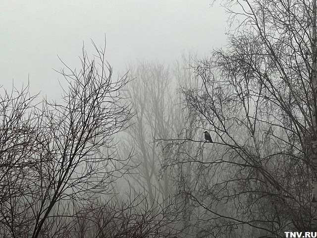 В объятиях антициклона: погода первой недели зимы в Татарстане