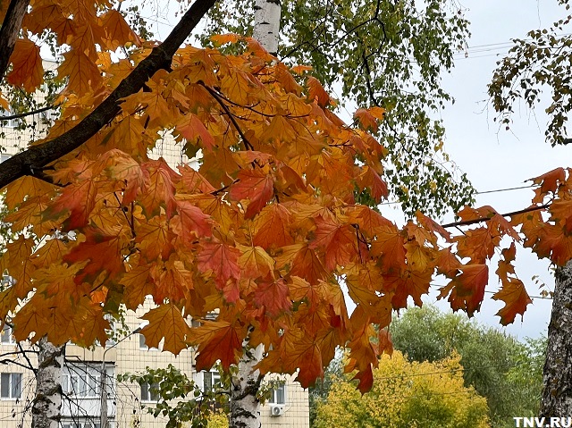 Аномальная жара сменится холодом: погода недели в Татарстане