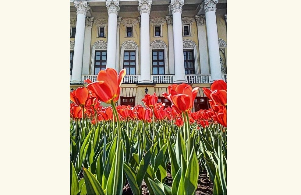 В 2021 году в Татарстане на нацпроект «Культура» направят 319 млн рублей