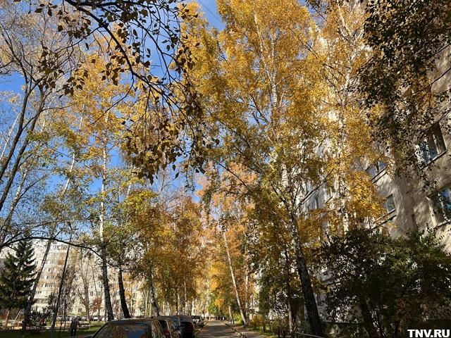Татарстанда төнге салкыннан соң һава +14 градуска кадәр җылыначак