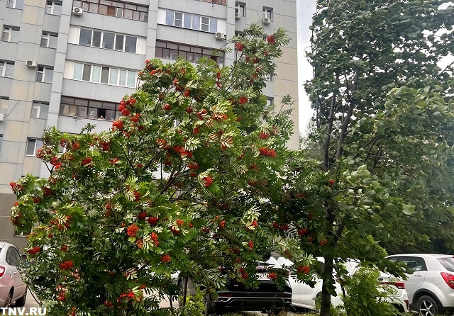 Бүген Татарстанда шторм кисәтүе игълан иттеләр