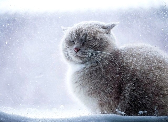 29 ноябрь Татарстанда -21 градуска кадәр суытачак