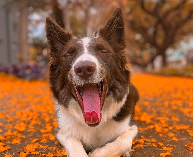 Заморозки и три бабьих лета в Татарстане анонсировал синоптик Шувалов