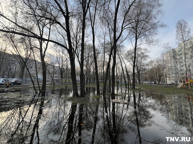 Синоптик рассказал о прохладных майских праздниках в центре России