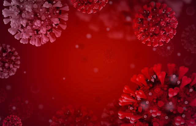 В России коллективный иммунитет к Covid-19 превысил 50%