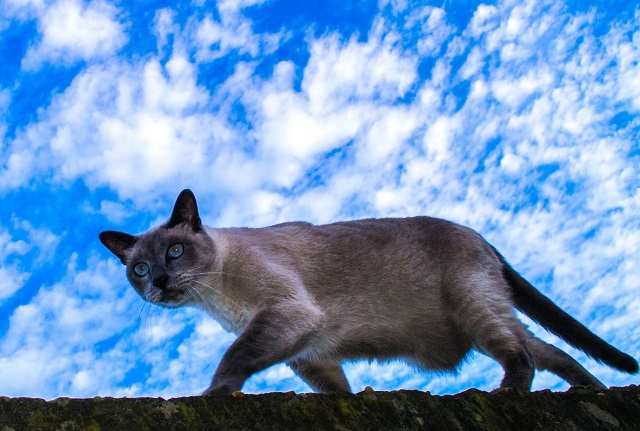 Облачность и 27-градусная жара накроют Татарстан в конце выходных