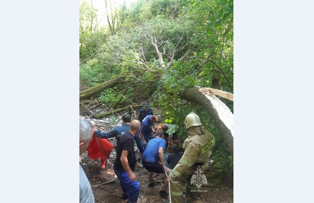 Биектауда куркыныч хәл: ир-ат өстенә агач төшкән