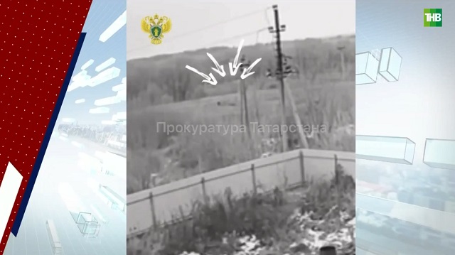 Обнародованы жесткие кадры нападения стаи собак на женщину в Самосырово