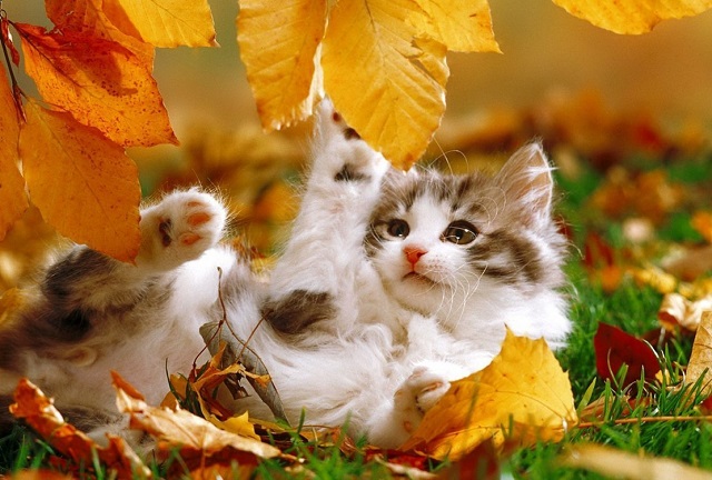 Приятный сюрприз готовит погода в Татарстане на 14 сентября