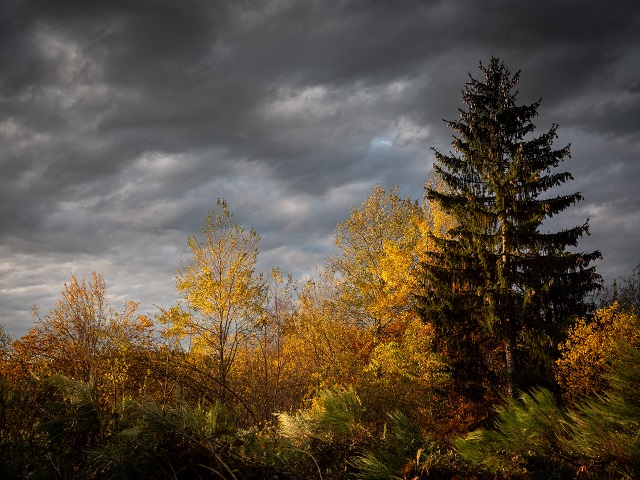 В Гидрметцентре рассказали, когда испортится погода в центре России