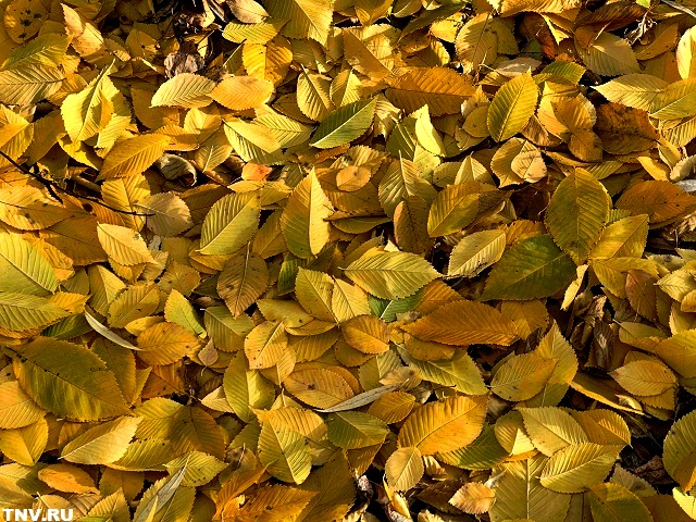 В ближайшие 30 лет в Казани среднемесячная температура в ноябре и марте составит 0 градусов