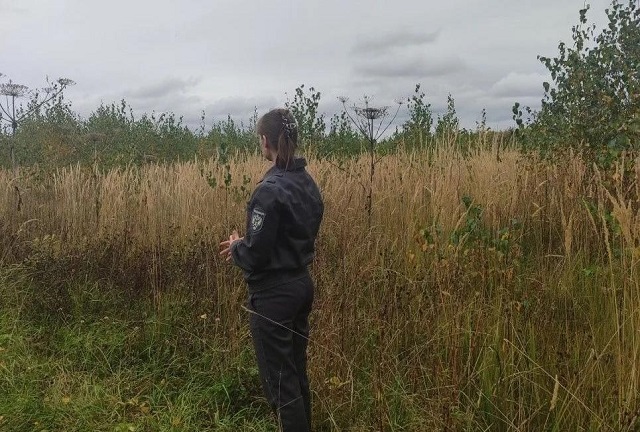 В Татарстане суд лишил собственников тысяч гектаров земли из-за зарастания сорняками