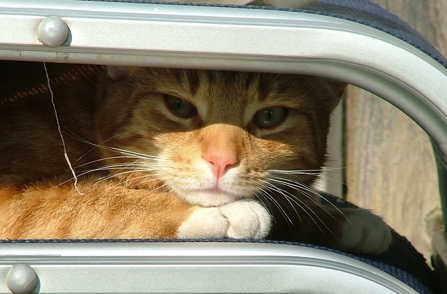 Похолодание до +13 градусов и дожди: погода завершения рабочей недели в Татарстане