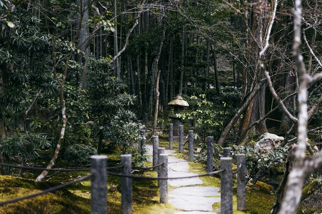 В Нижнекамске откроют новую пешую экотропу