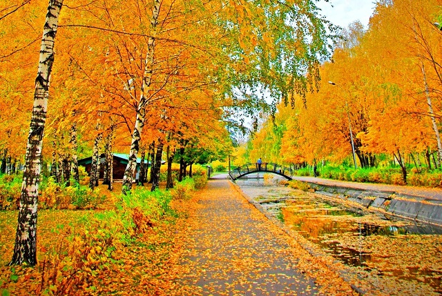 Иртәгә Казанда салкын һава көтелә
