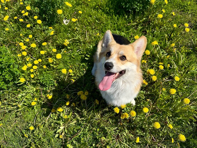 Көчле яңгыр, 23 м/с җил: 20 майга һава торышы билгеле