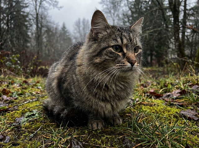 Мокрый снег, гололедица и ветер до 18 м/с: непогода надвигается на Татарстан