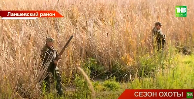 Жителям Татарстана разъяснили особенности осеннего сезона охоты