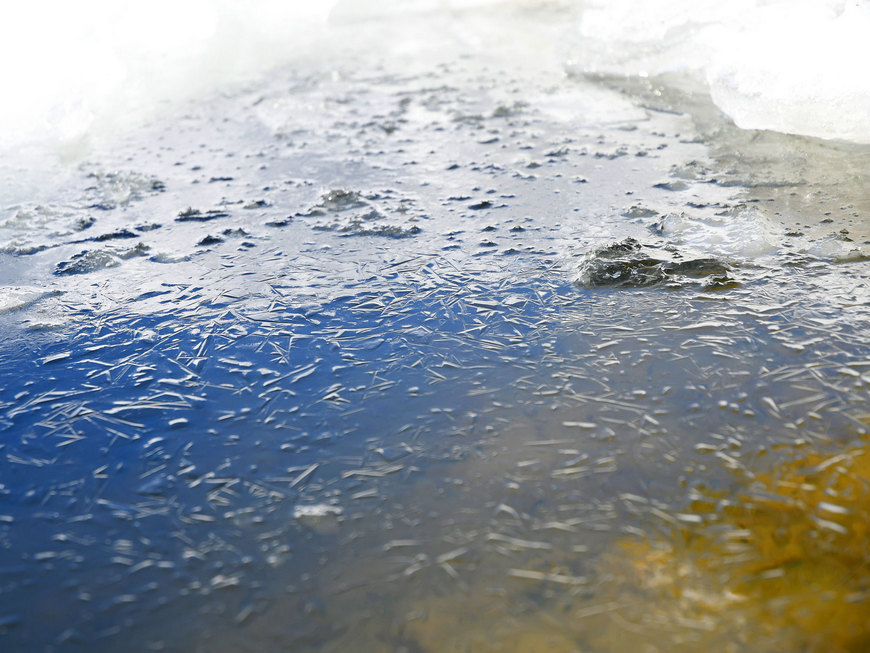 Татарстанда боз кичүләре ябыла