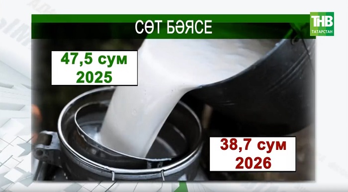 Сөткә бәя төшә! Сыерны бетерәсеме? | Адымнар