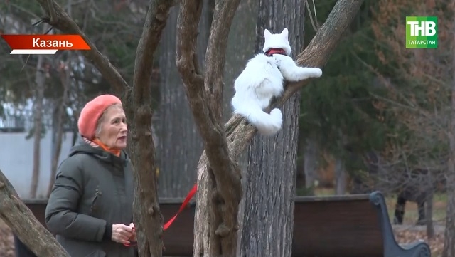 Климатолог: снег в Татарстане снова задерживается